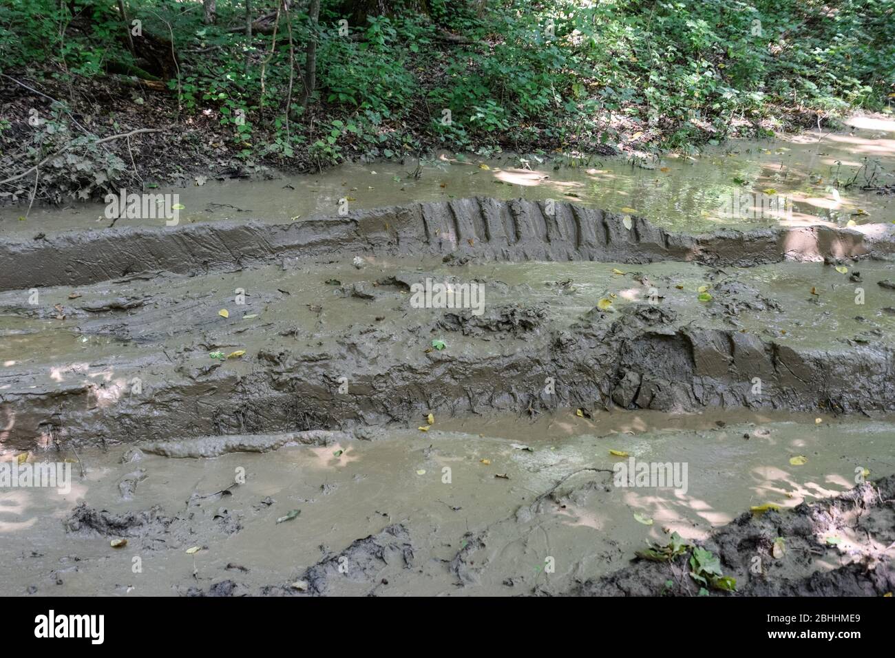 Dirty blurred forest road with a deep rut Stock Photo - Alamy