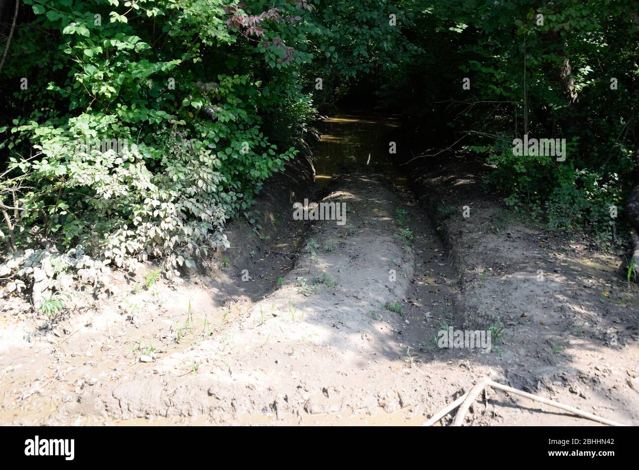 Dirty blurred forest road with a deep rut Stock Photo - Alamy