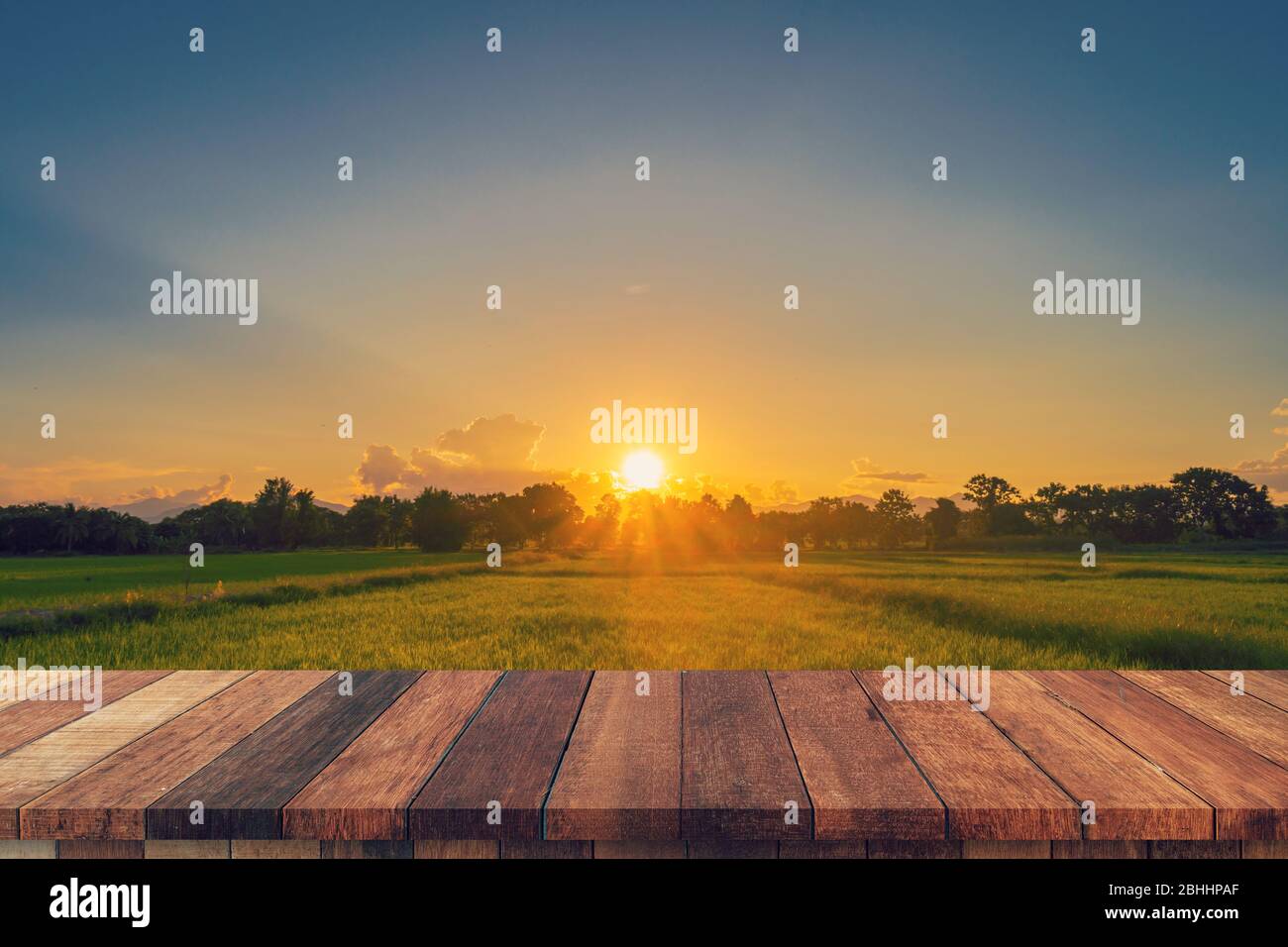 Rice field sunset and Empty wood table for product display and montage ...