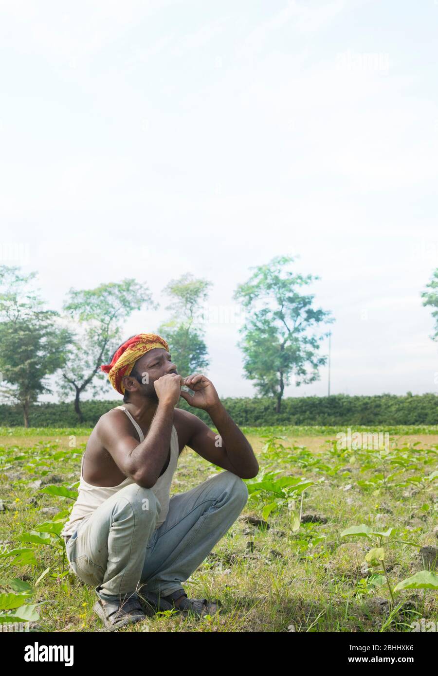 Sad Farmer Wallpaper Sad Farmer Hi Res Stock Photography And Images