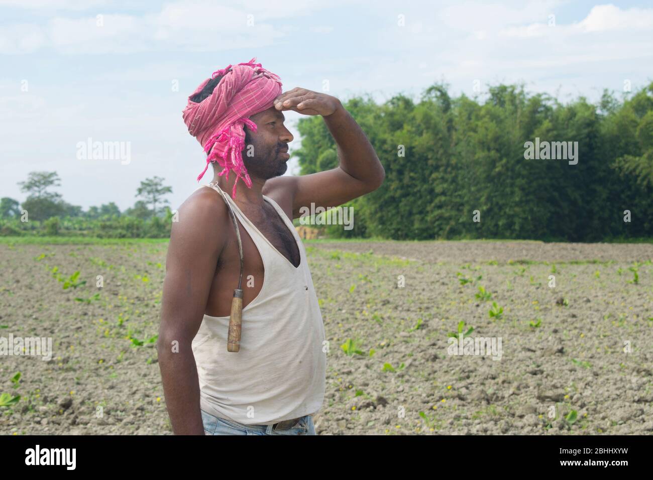 portrait of indian farmer looking away at field Stock Photo - Alamy