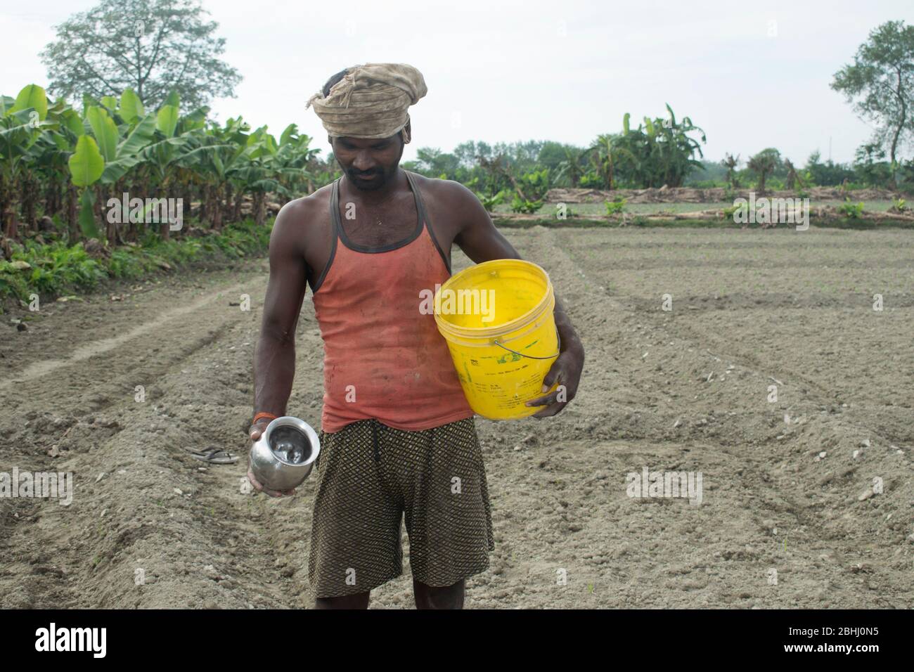 indian farmer giving pesticide Stock Photo - Alamy