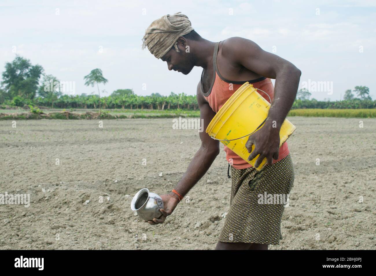 indian farmer giving pesticide Stock Photo - Alamy