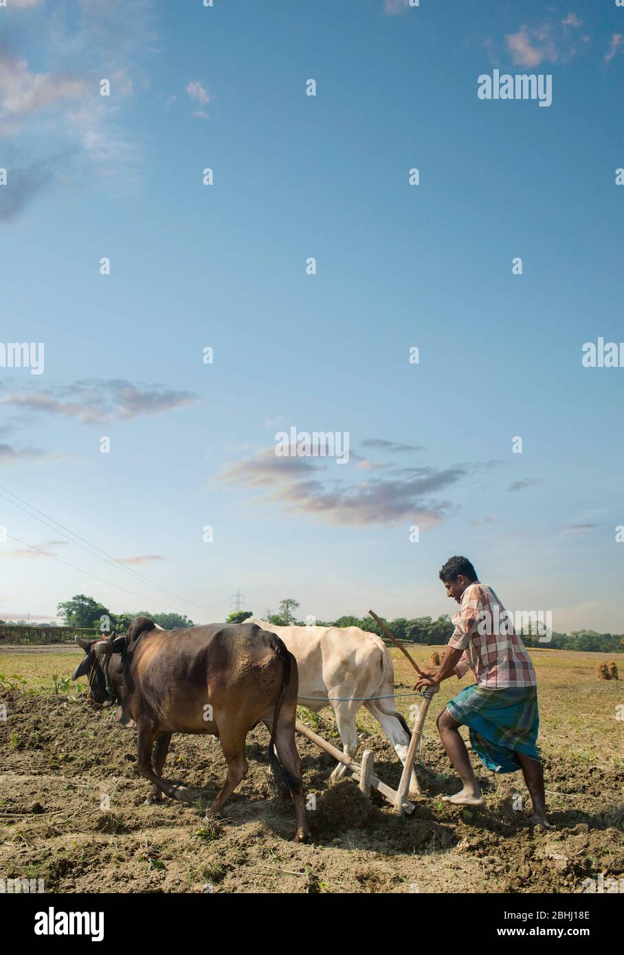 indian Farmer ploughing field Stock Photo - Alamy