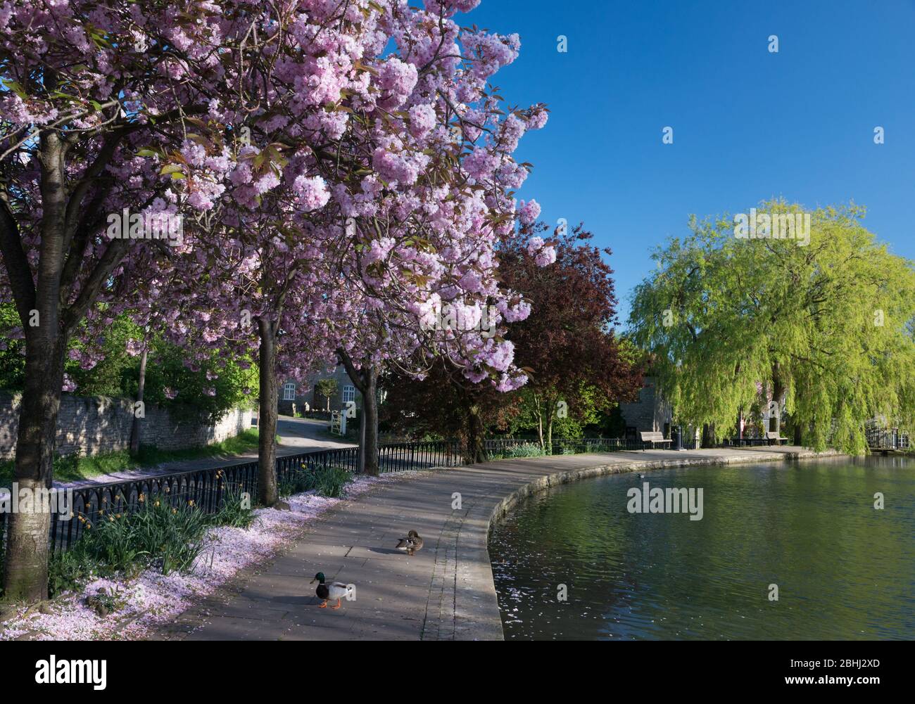 tickhill high resolution stock photography and images alamy