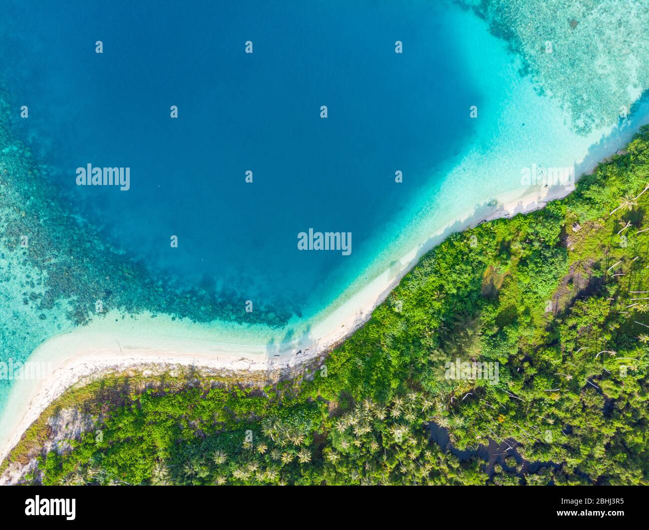 Aerial top down view tropical paradise pristine beach rainforest blue 