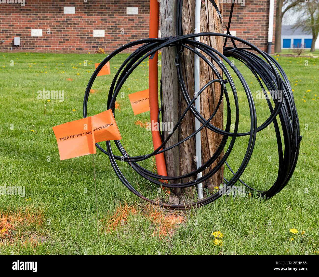 Fiber optic cable, orange marking flags and utility pole. Concept of digging safety, utility locate service and high speed internet, broadband access Stock Photo