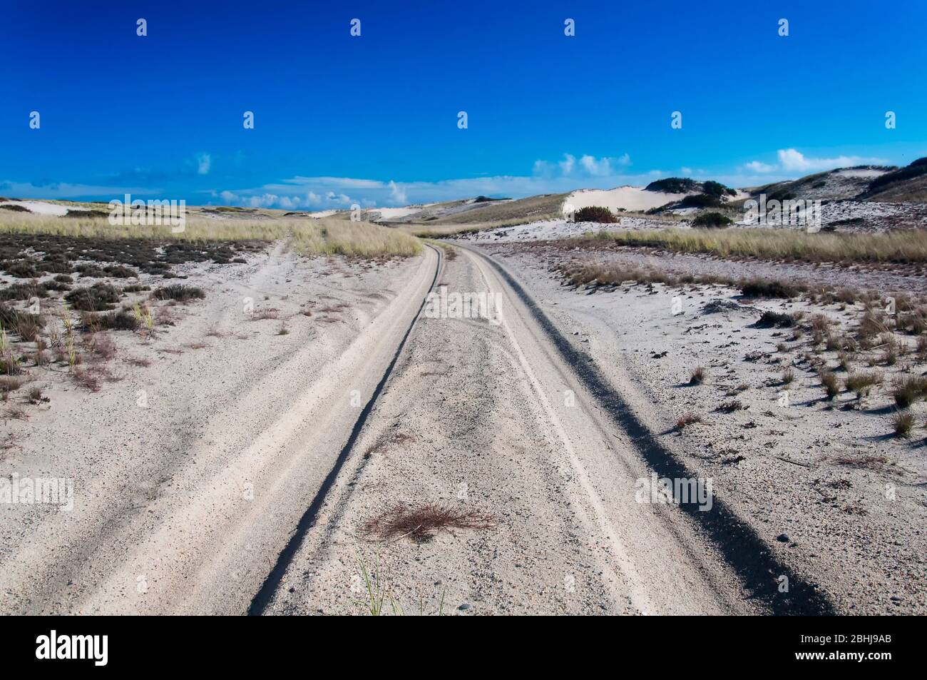 Sandy tire tracks running through the national seashore in cape cod massachusetts on a sunny blue sky day. Stock Photo