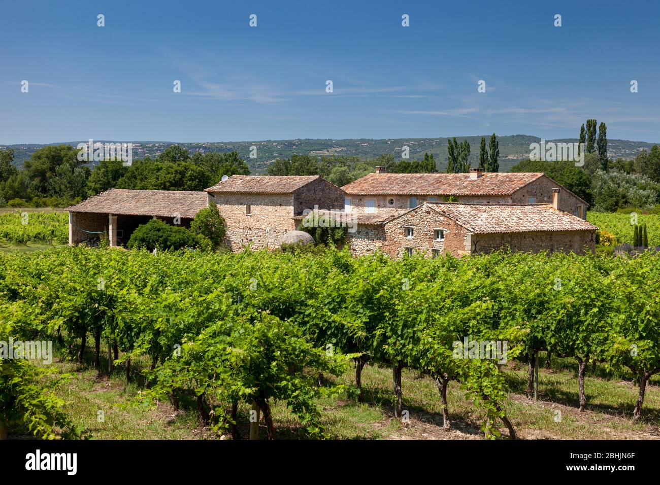 Vineyard and farm house near Roussillon, Provence, France Stock Photo