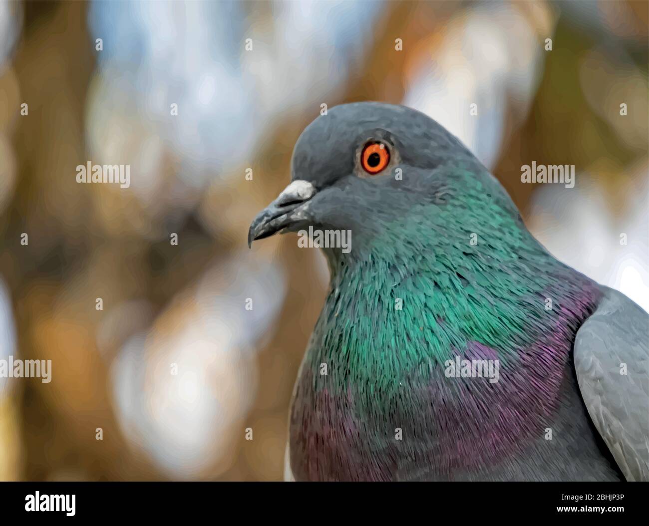 City pigeons in flight Stock Vector Images - Alamy