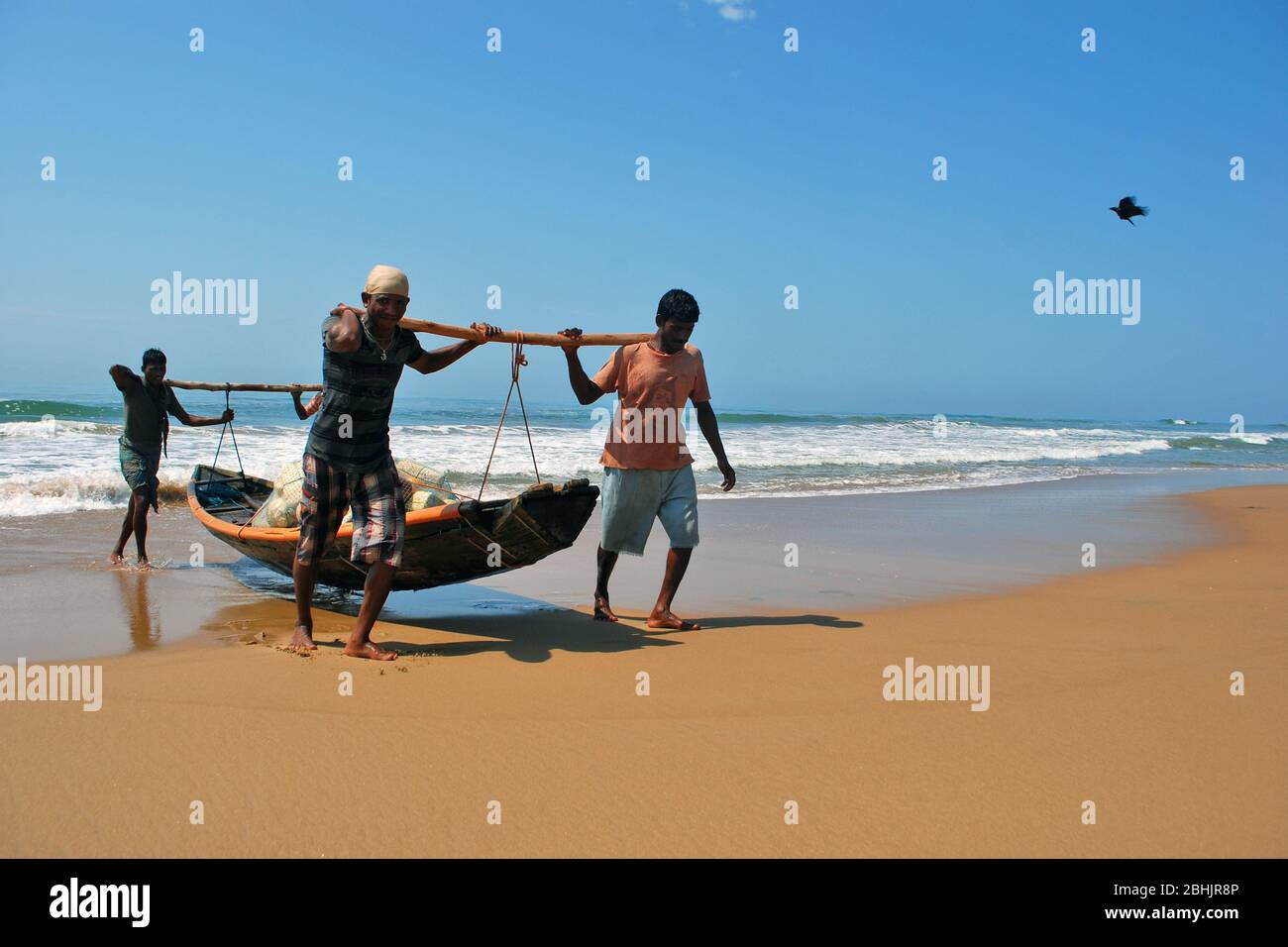 Fishermen toeing their fishing boat to Puri beach. Stock Photo