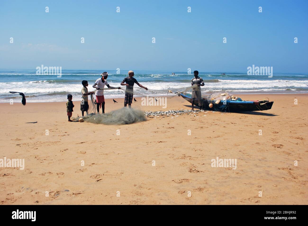 Fishermens working with a fishing net on the sea beach of Puri. Stock Photo