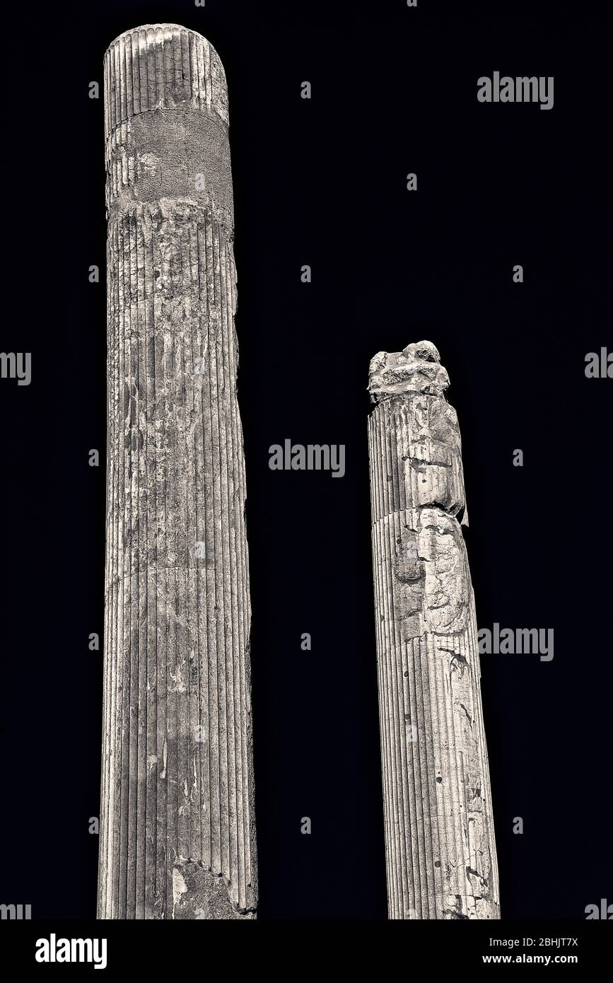 Detail of the columns in the Apadana Palace, Persepolis, Iran. Stock Photo