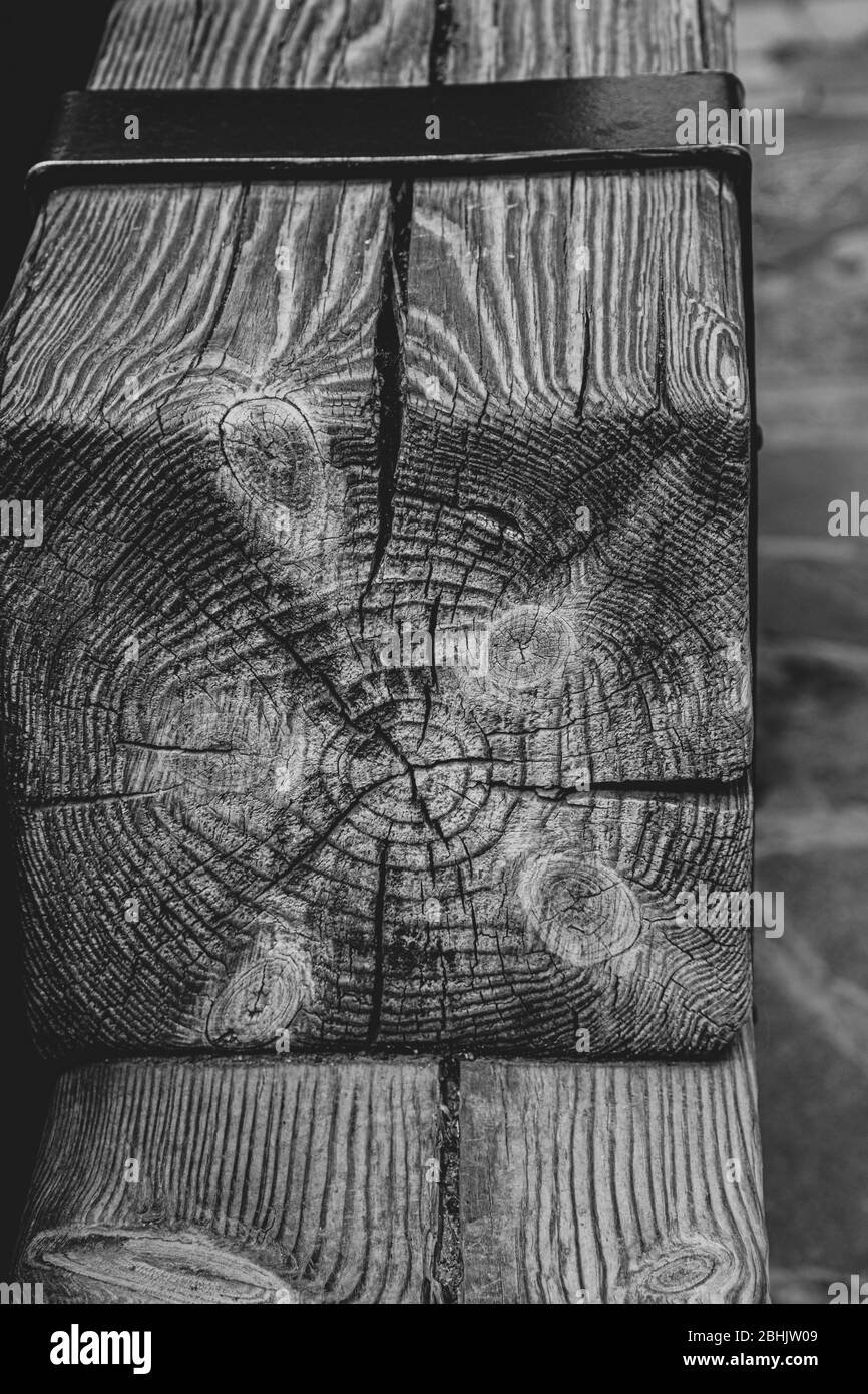 Black and white photo of rough patterned wooden texture of square beam. Hardwood background in shades of grey. Woodworking industry backdrop Stock Photo