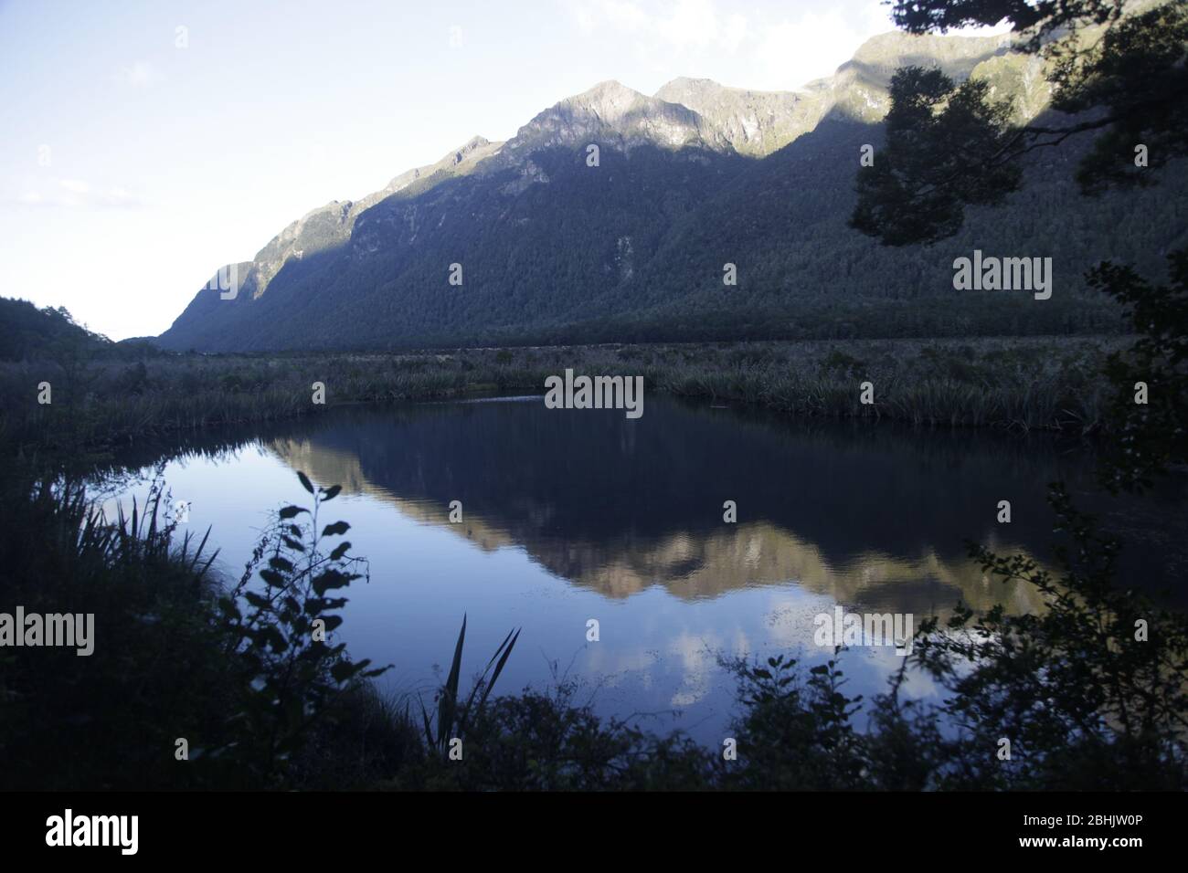 The Earl Mountains are reflected in Mirror Lakes, Fiordland, New Zealand March 8, 2020. Photograph John Voos Stock Photo