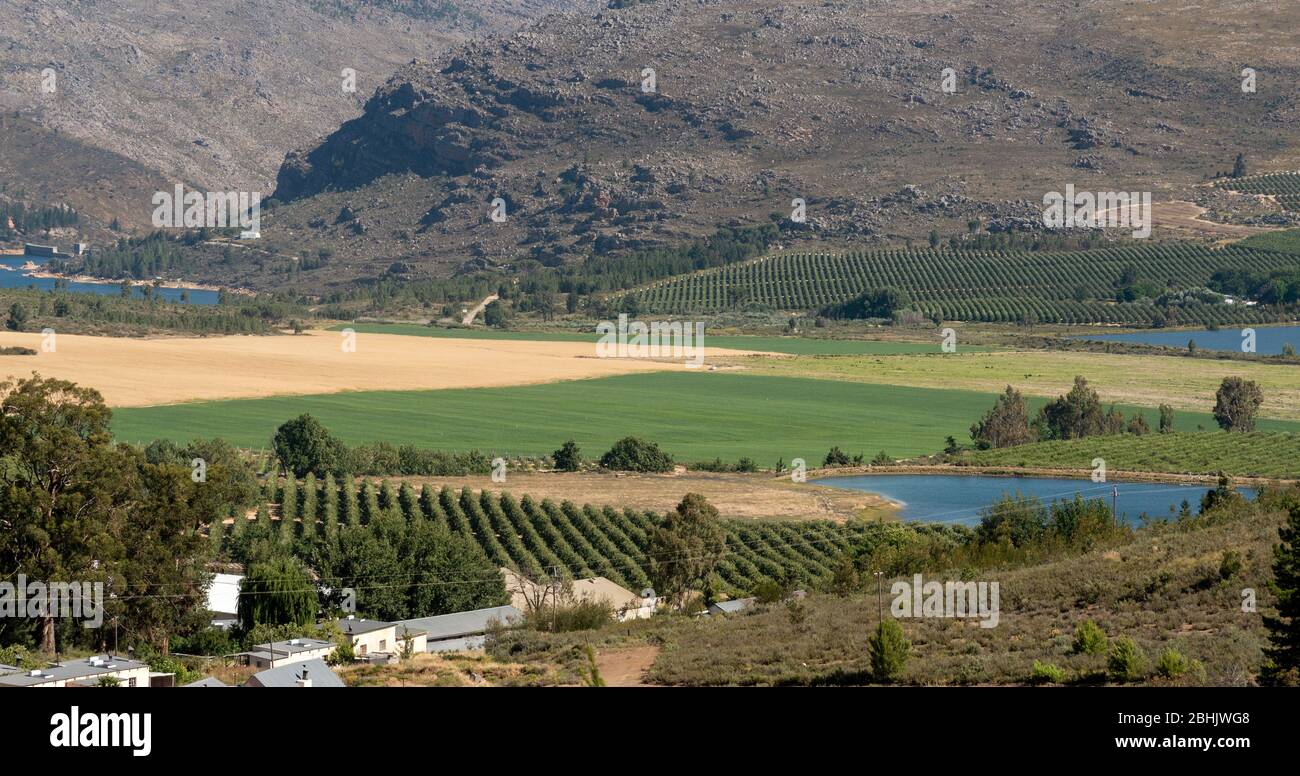 Ceres,  Swartland, South Africa 2019. Fruit and wheat producing area of the Swartland close to Ceres. Stock Photo