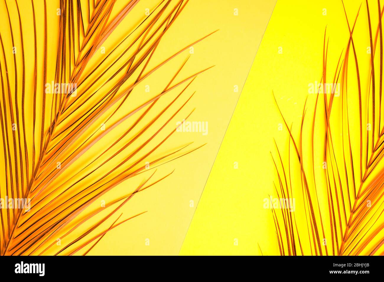 Painted tropical palm leaves on bright yellow background with copy ...