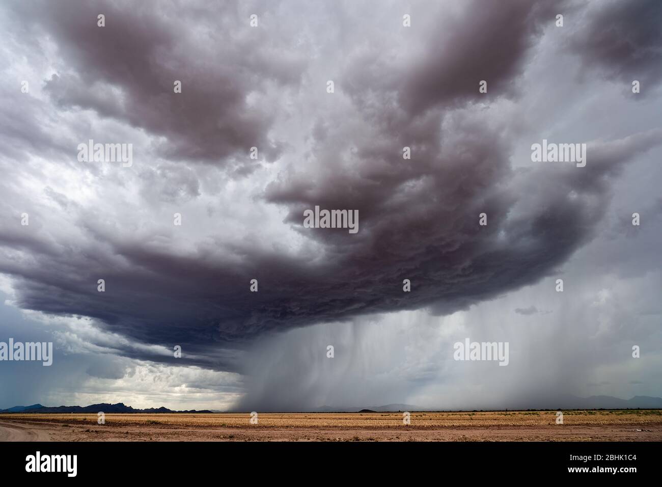Storm clouds with heavy rain falling in the desert during the summer monsoon season near Chuichu, Arizona Stock Photo