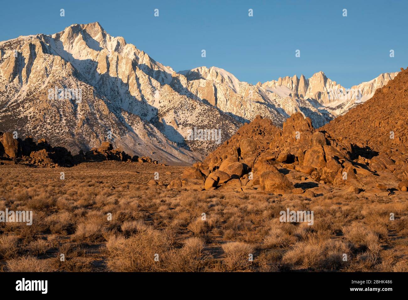 View of Mt. Whitney at dawn from the Alabama Hills in Inyo County, California Stock Photo