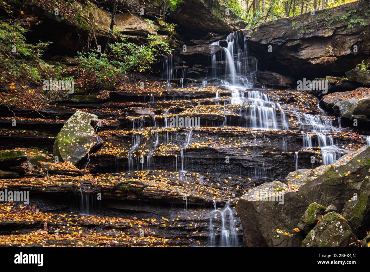 Water flows gently over the stair stepped rocks covered in colorful orange autumn foliage on Laurel Creek in West Virginia. Stock Photo