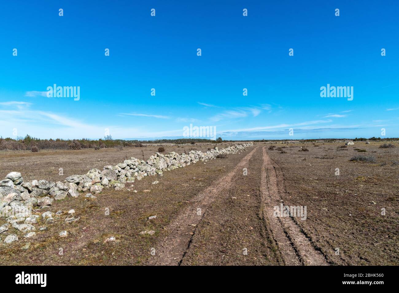 Tracks by an old dry stone wall in a plain grassland on the swedish island Oland Stock Photo