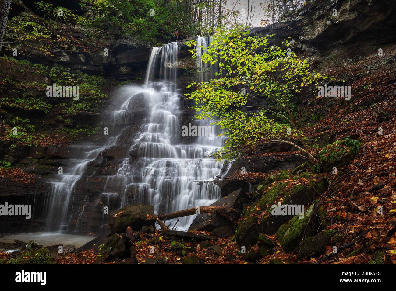 A serene waterfall within the Brush Creek Nature Preserve in West Virginia flows gently from a tall cascaded rock wall in front of a lush green tree. Stock Photo