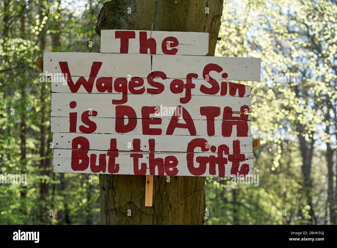 A96 Road, Elgin, Moray, UK. 26th Apr, 2020. UK. These are two signs that have been posted onto trees and viewable if travelling from Elgin to Inverness on the main A96 road. Credit: JASPERIMAGE/Alamy Live News Stock Photo