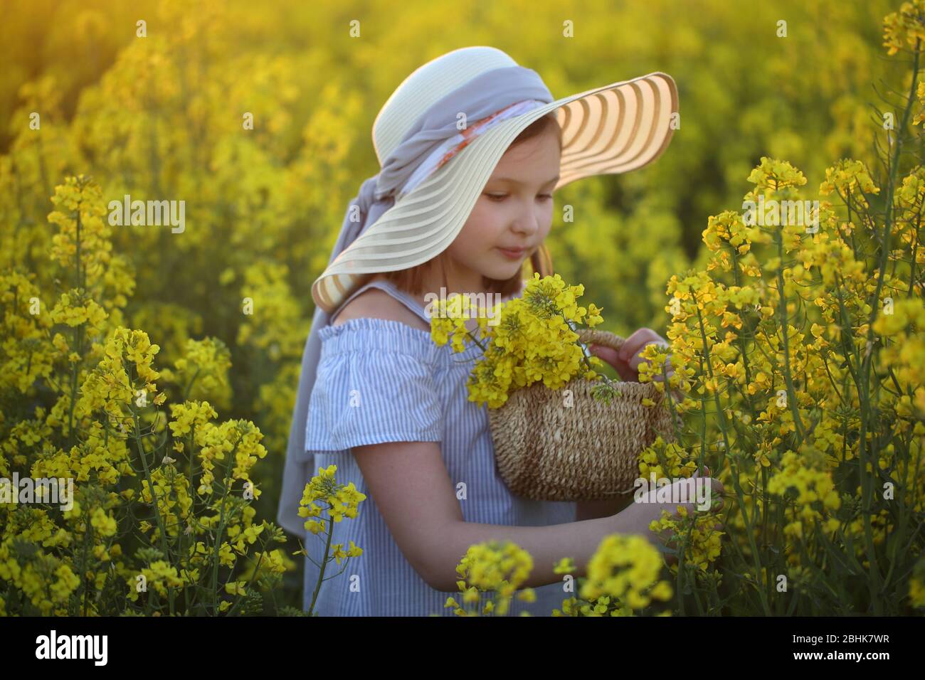 Beautiful girl walks in a field of blooming rapeseed Stock Photo - Alamy