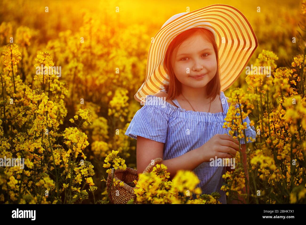 Beautiful girl walks in a field of blooming rapeseed Stock Photo - Alamy
