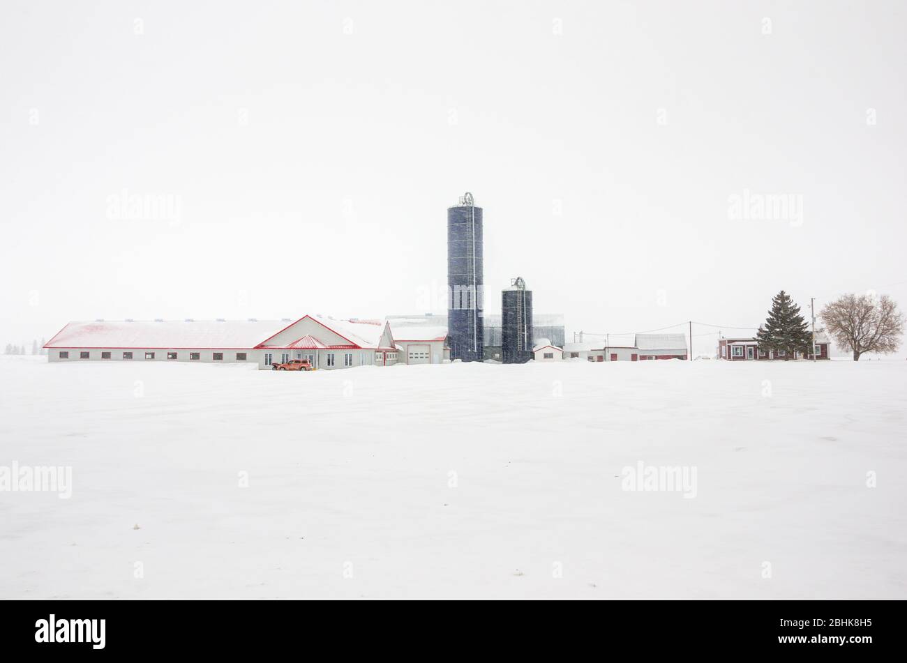 Farm in the countryside of Quebec, Cananda, on snowing winter day. Extreme weather. Stock Photo