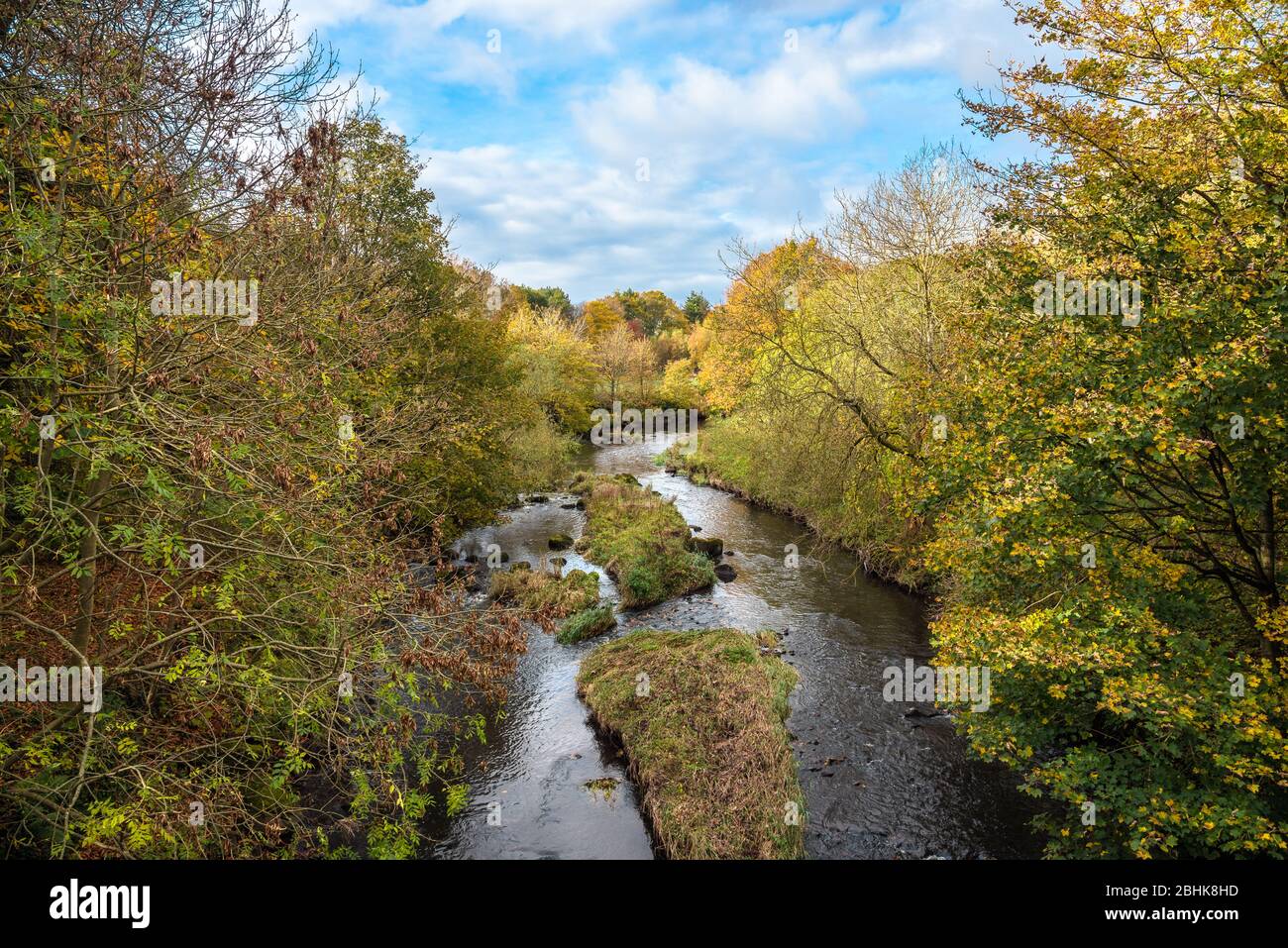 River with forested banks under blue sky with clouds in Autumn. Beautiful fallfoliage. Stock Photo