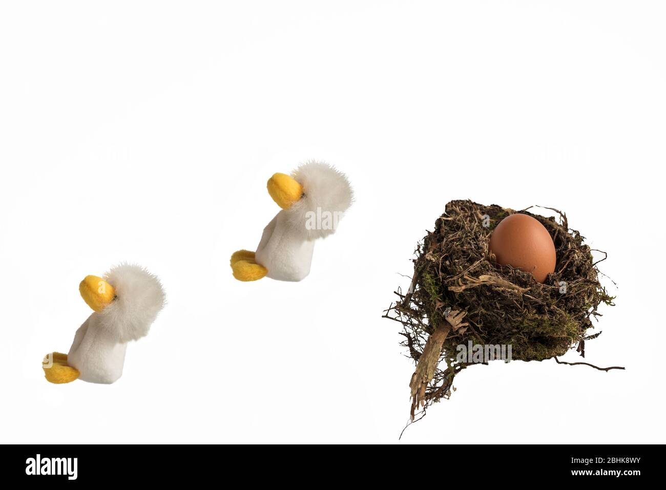 Two fluffy toy chicks jumping out of a real birds nest containing a chicken's egg against a white background. Concept; Fleeing the nest, leaving home. Stock Photo