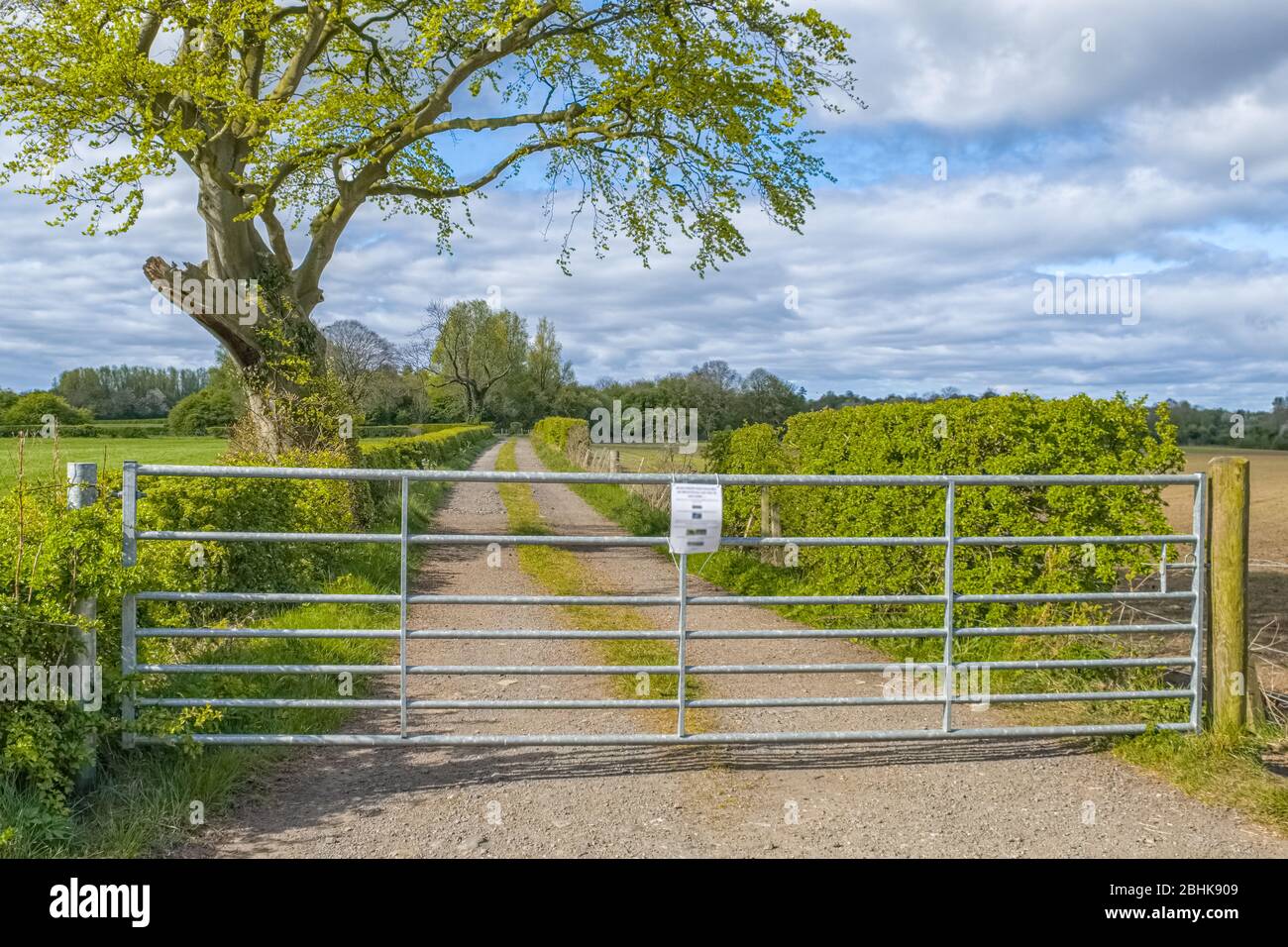 The magic of Perceton in Irvine and a beautiful bridleway or footpath