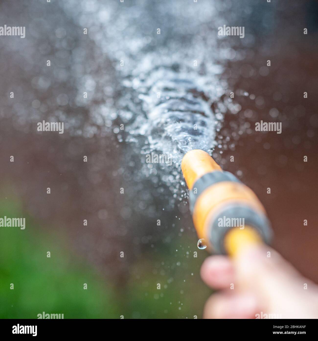 Watering a garden with spray from a hose pipe Stock Photo