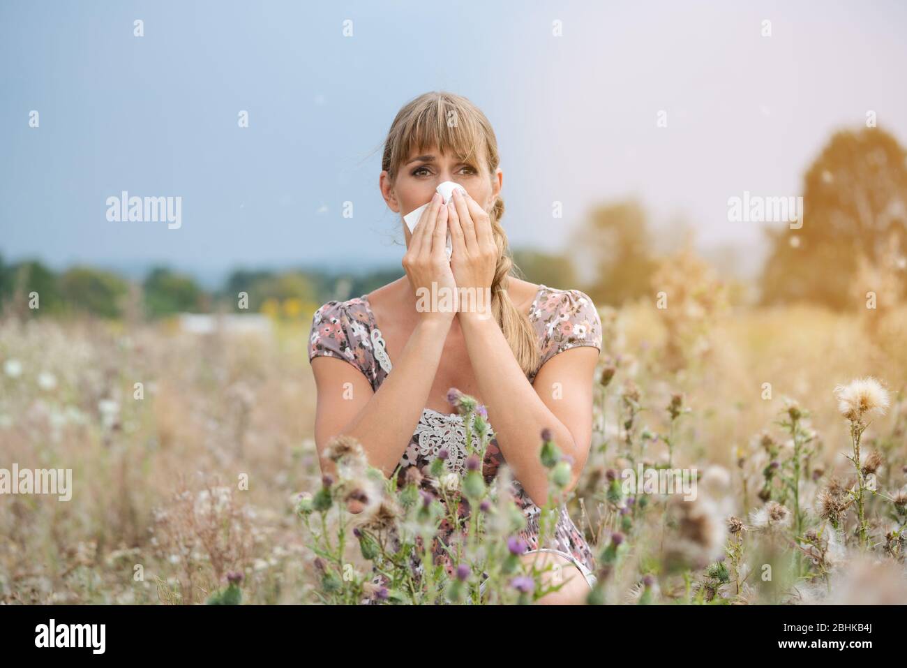 Woman in meadow snorts in handkerchief Stock Photo
