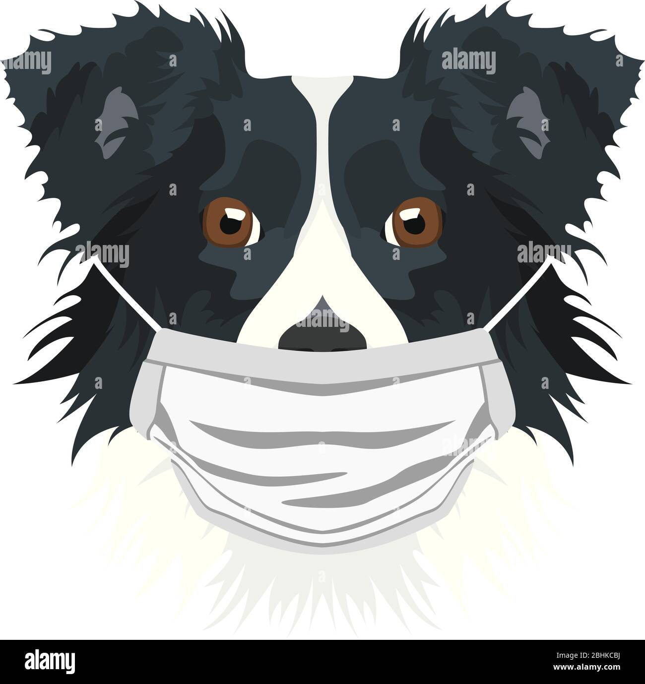 Illustration of a border collie with respirator. At this time of the pandemic, the design is a nice graphic for fans of dogs. Stock Vector