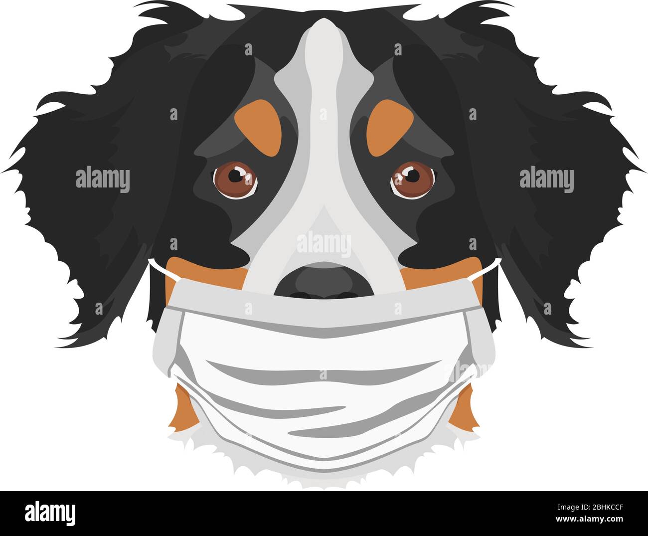 Illustration of a Bernese Mountain Dog with a respirator. At this time of the pandemic, the design is a nice graphic for fans of dogs. Stock Vector