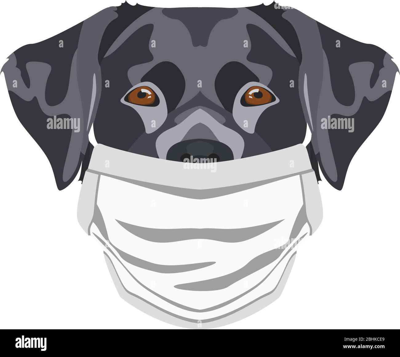 Illustration of a labrador with respirator. At this time of the pandemic, the design is a nice graphic for fans of dogs. Stock Vector