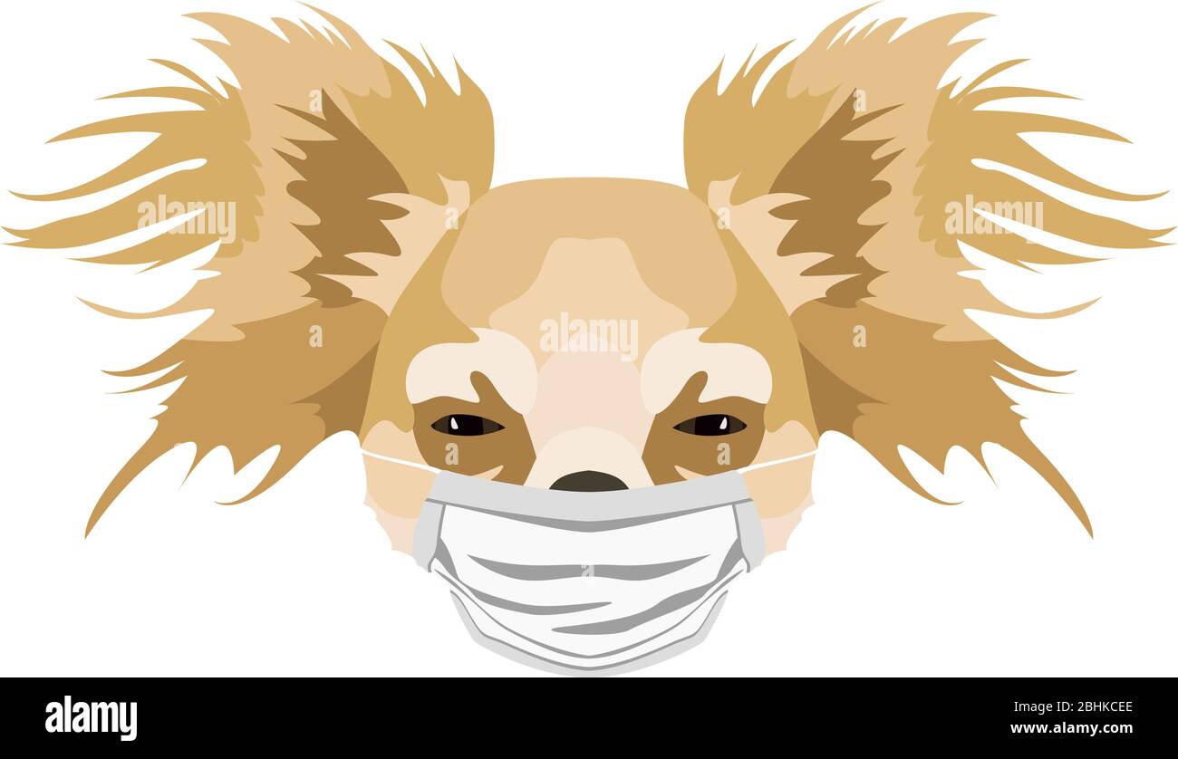 Illustration of a chihuahua with respirator. At this time of the pandemic, the design is a nice graphic for fans of dogs. Stock Vector