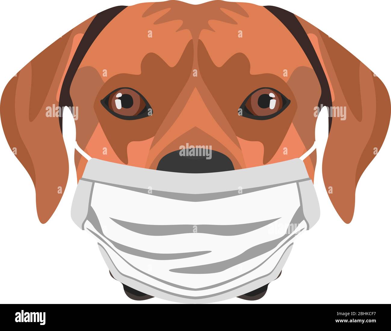 Illustration of a Rhodesian Ridgeback with a respirator. At this time of the pandemic, the design is a nice graphic for fans of dogs. Stock Vector