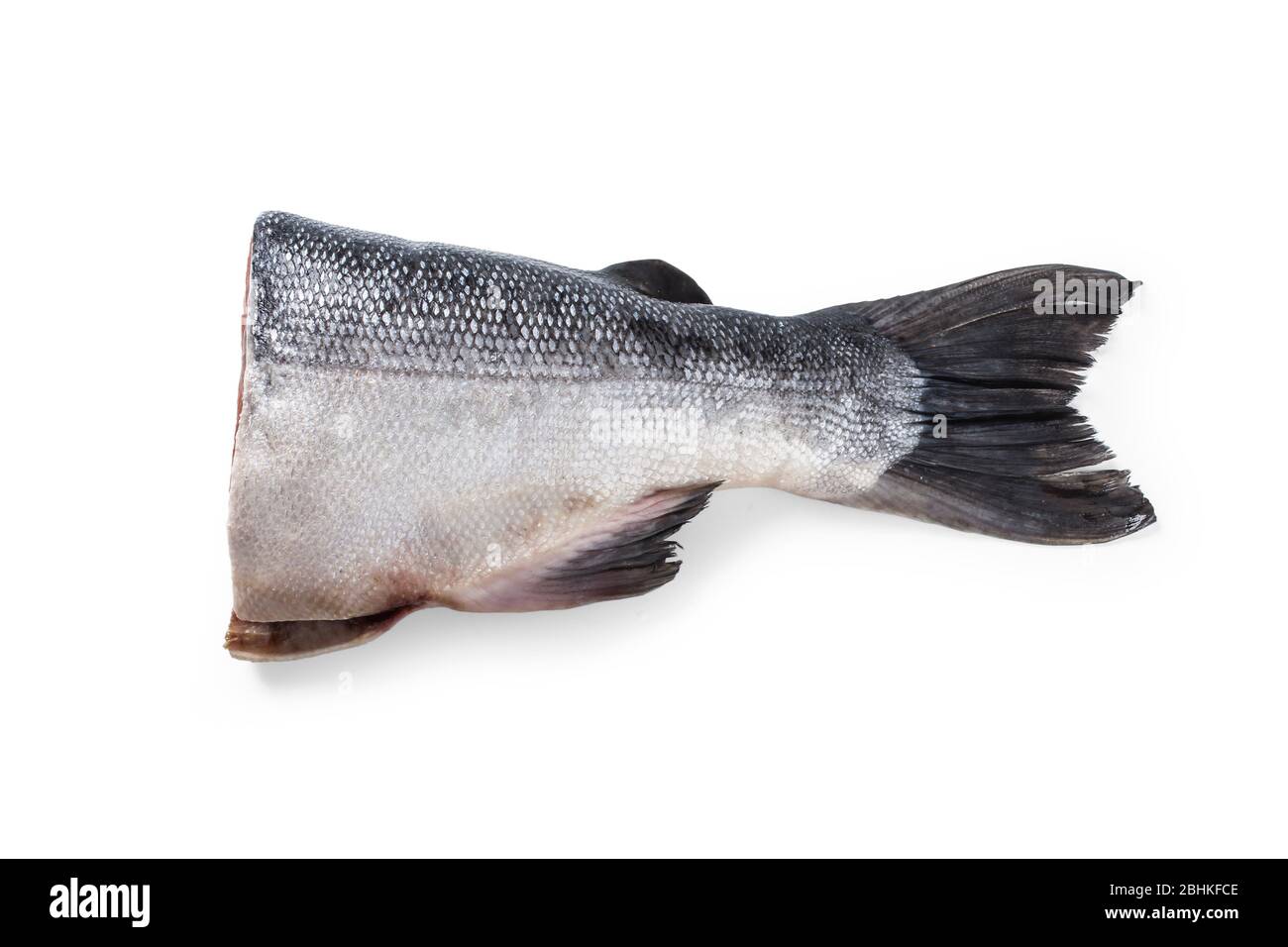 Salmon carcass tail closeup isolated on white Stock Photo - Alamy