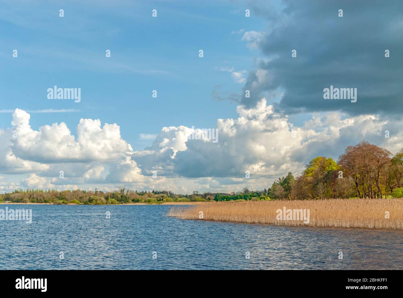 Landscape at Lough Ree a lake near Athlone, Ireland Stock Photo