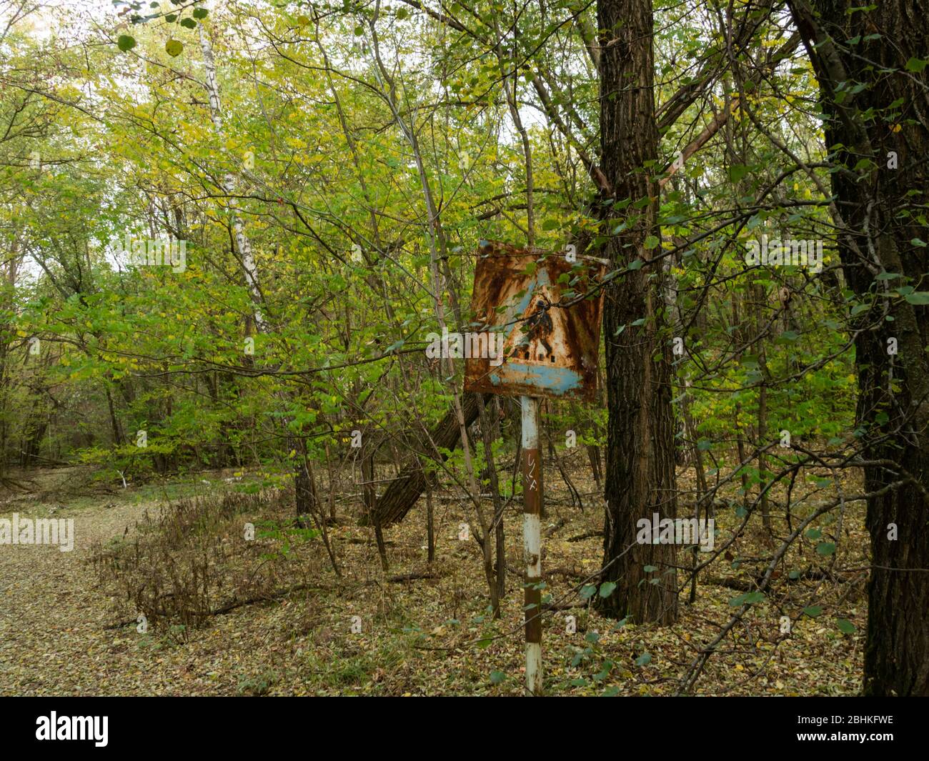 Abandoned street and rusty road sign. Previous roads and alleys are taken by trees and bushes. Ghost town of Pripyat, Chernobyl Exclusion Zone. Ukrain Stock Photo