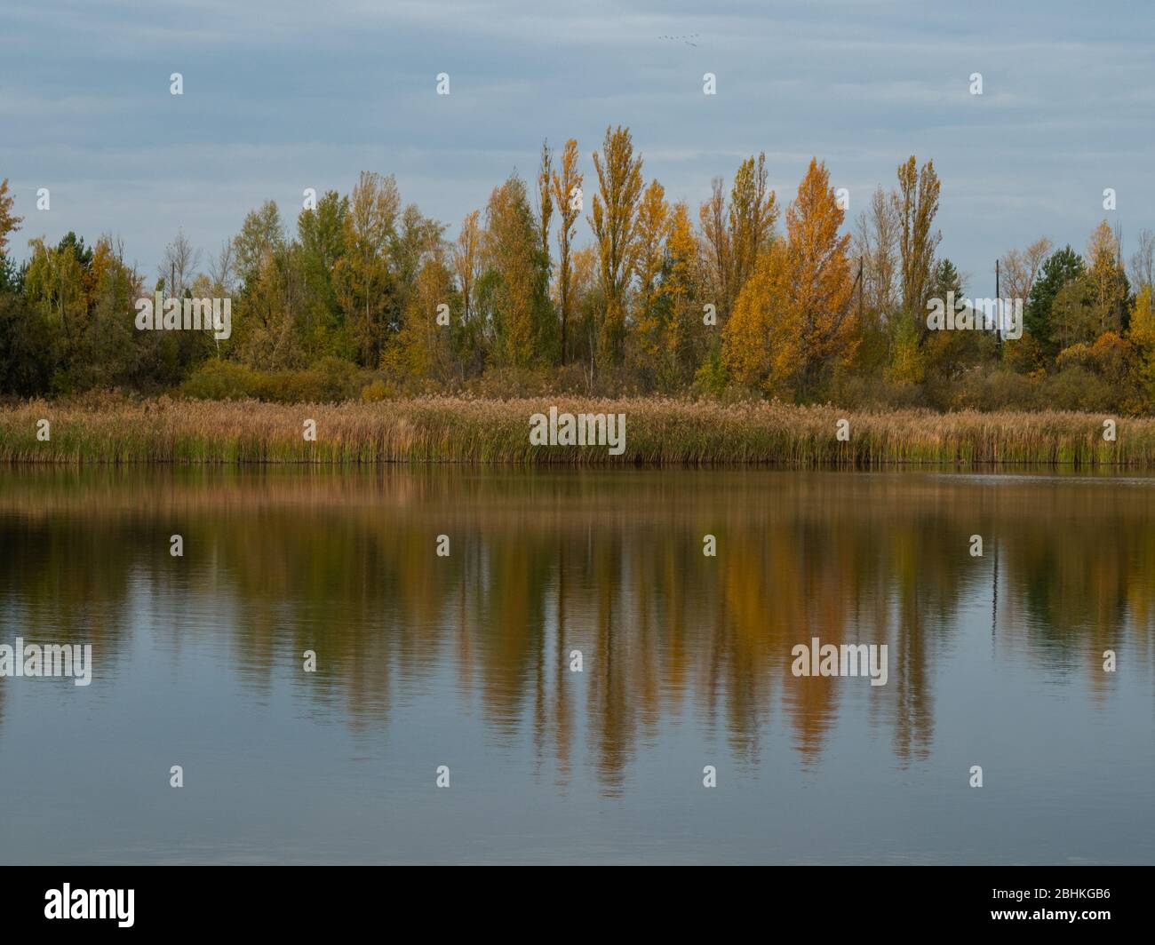 Autumn landscape lake in Pripyat, Chernobyl Exclusion Zone in Ukraine Stock Photo