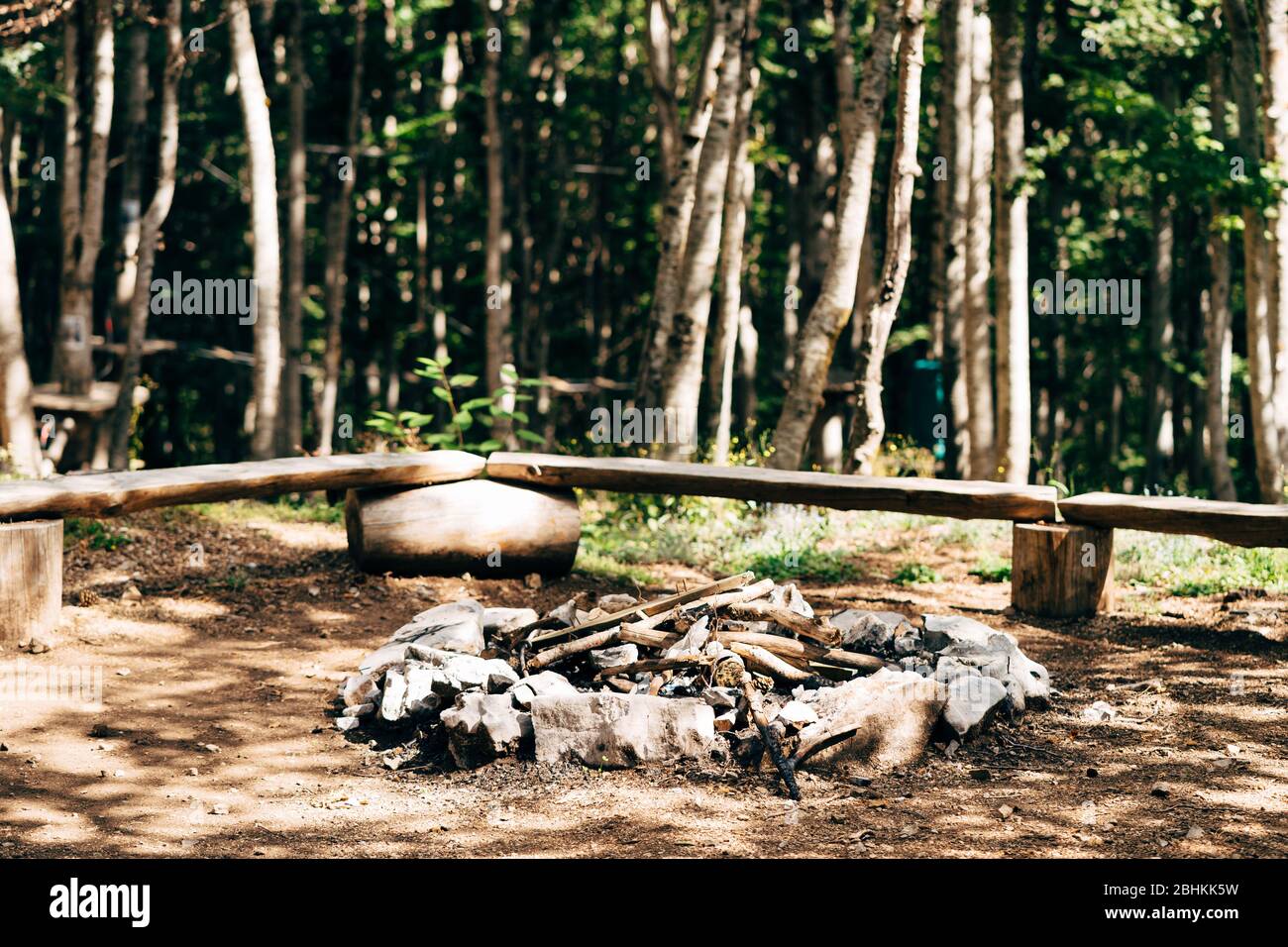 A bonfire in the woods. A place to make a campfire on the ground in the woods. A safe area for starting fire, with benches and mown grass. Stock Photo