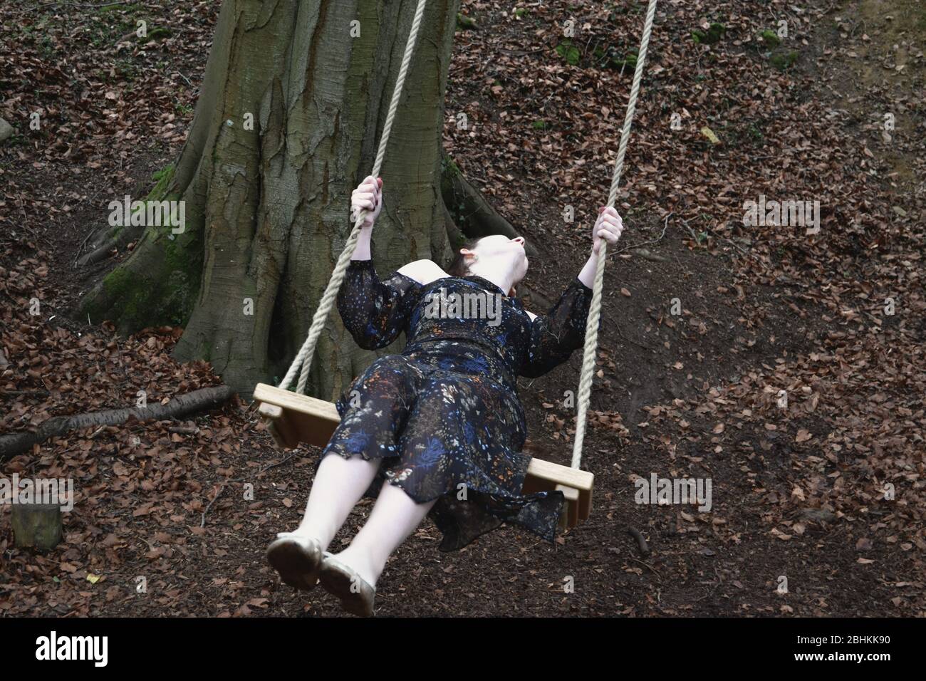 A long haired brunette young lady in a formal dress playing on a swing in winter woodland, leaning back dramatically Stock Photo