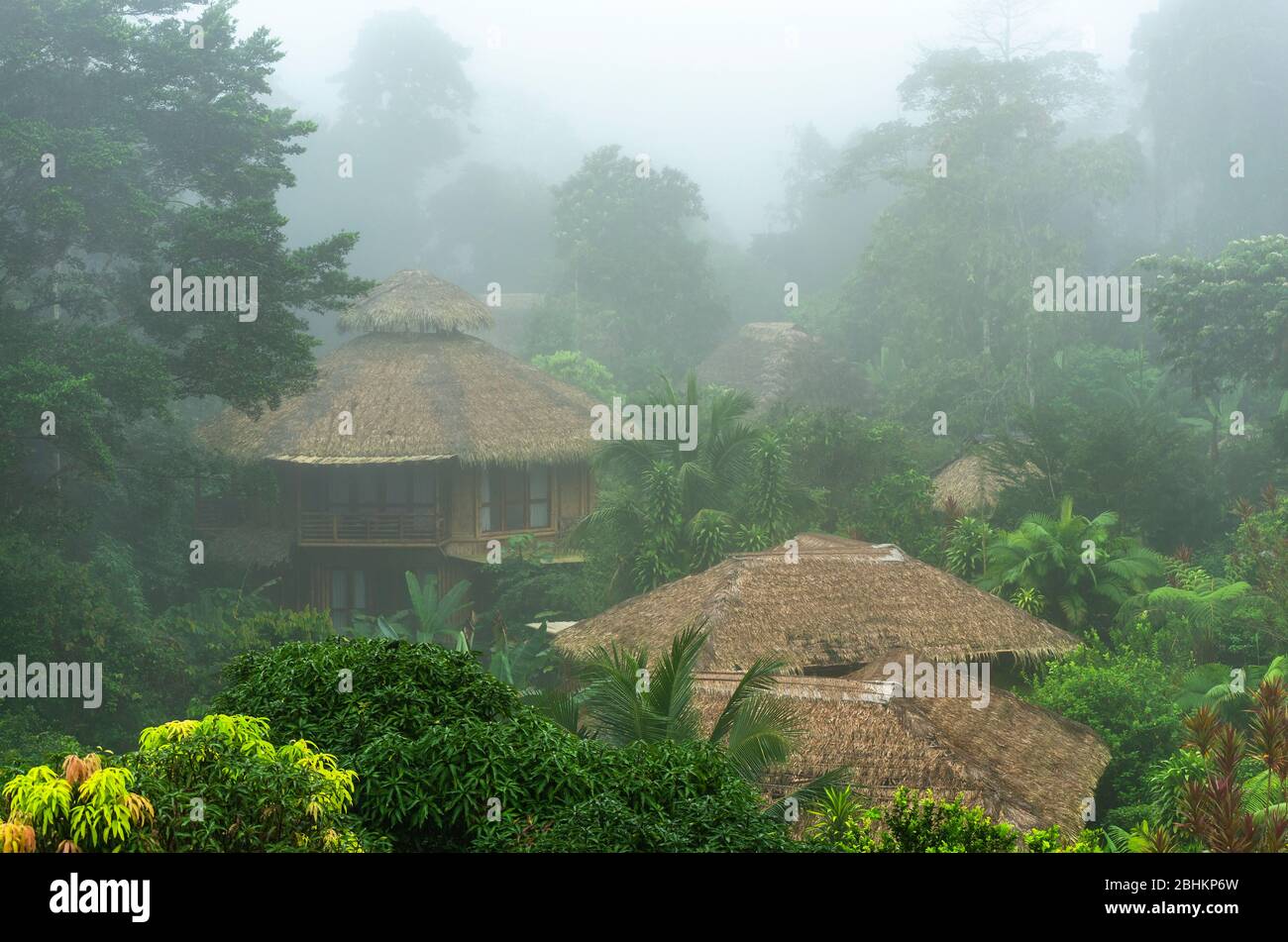 Amazon Jungle Lodge in the morning fog, Yasuni national park, Ecuador. Stock Photo