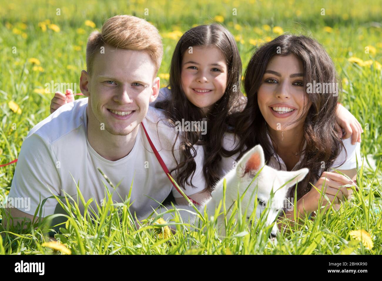 Happy family of parents and daughter laying on grass in park with pet husky puppy dog Stock Photo