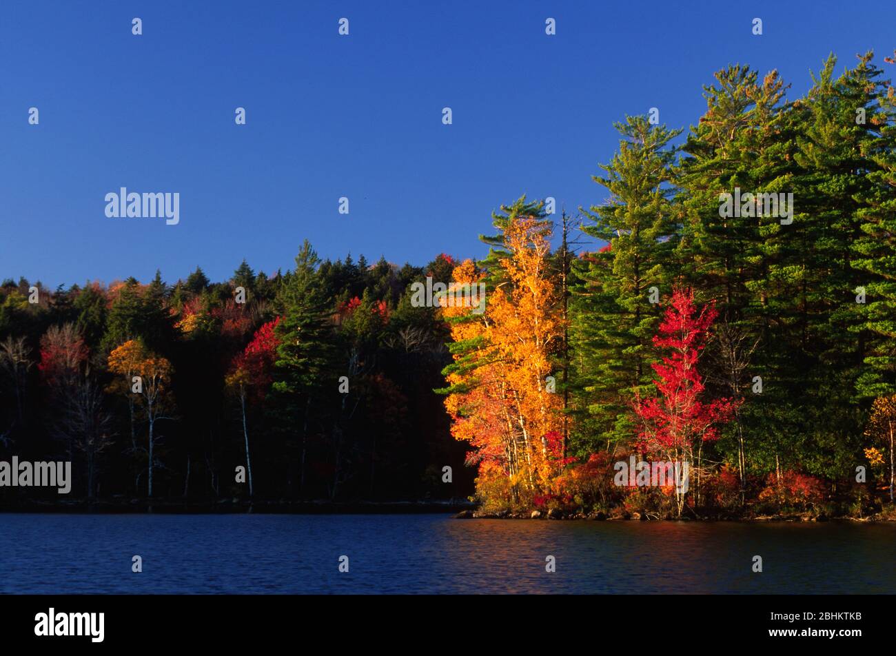 Tupper Lake, Adirondack Park, New York Stock Photo Alamy