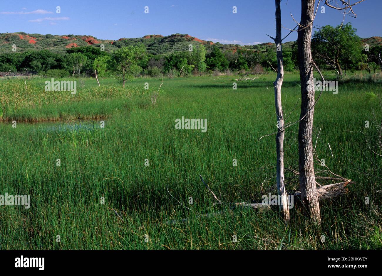 Black kettle cheyenne hires stock photography and images Alamy
